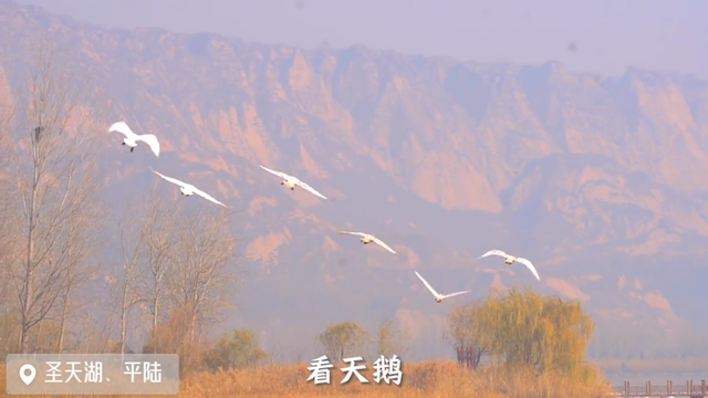 冬日的运城，藏着北方最诗意的浪漫