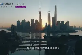 中外新品上海首发尽显魔都“强力磁场” ，“拥抱进博首发季”潮动上海图片
