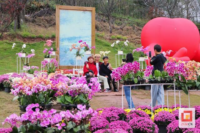 贡井建设镇：秋色满园关不住 近郊赏花正当时