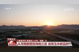 人勤春来早 耄耋老人58年“南繁”忙图片