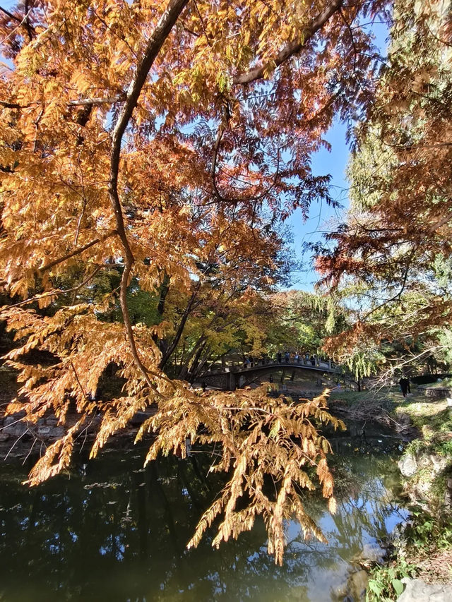 颐和园的秋天太美了