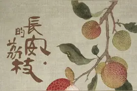 《长安的荔枝》热播，杨贵妃吃的荔枝到底是哪里产的？图片