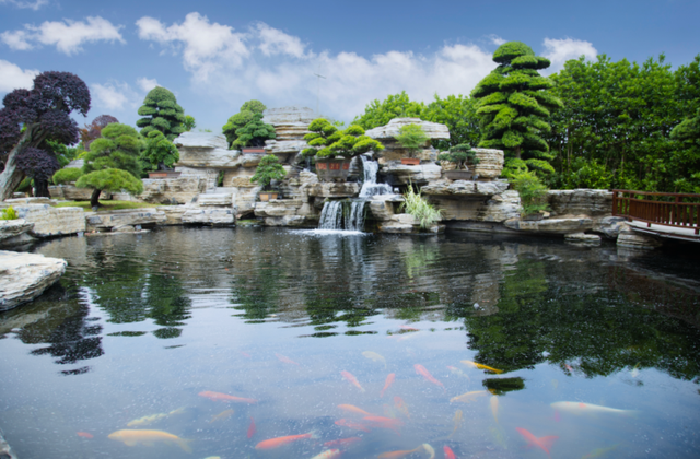 看烟花、观花海、造微缩园林......去柏加镇感受8种趣味玩法