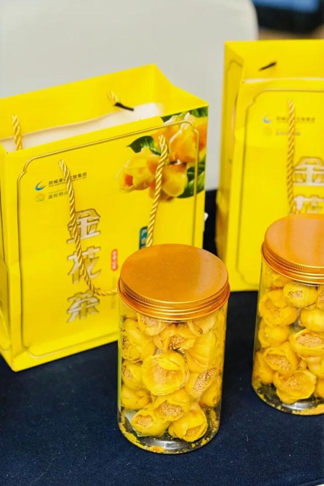 “暖冬遇见防城港”之“山海暖你·边关约你”2026年防城港文旅推介会举办