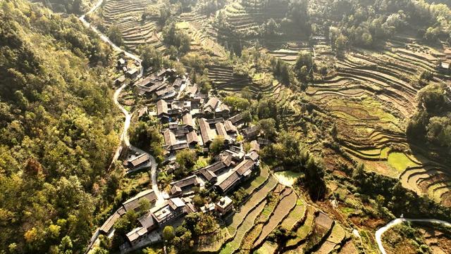 重庆秋色“天花板”火了！最快1小时飚拢！