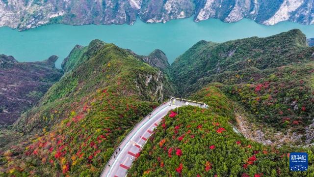 红叶扮靓长江巫峡