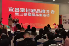 宜昌蜜桔走俏深圳食博会图片
