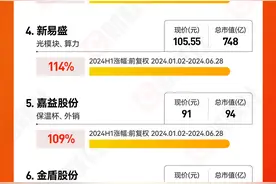 2024上半年十大牛股出炉：正丹股份以绝对优势夺魁 算力和飞行汽车概念表现强势图片