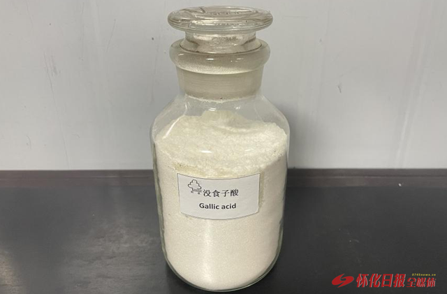 强基活链任从容 ——走笔全市生物基产业链