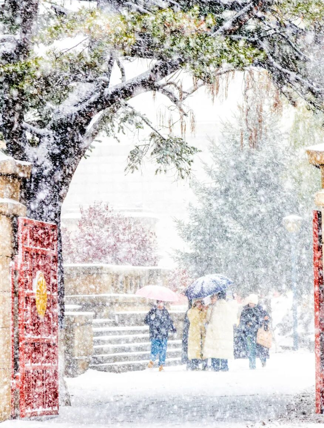 【推荐】香港⇆长春直飞通航，冰雪之旅一键开启！
