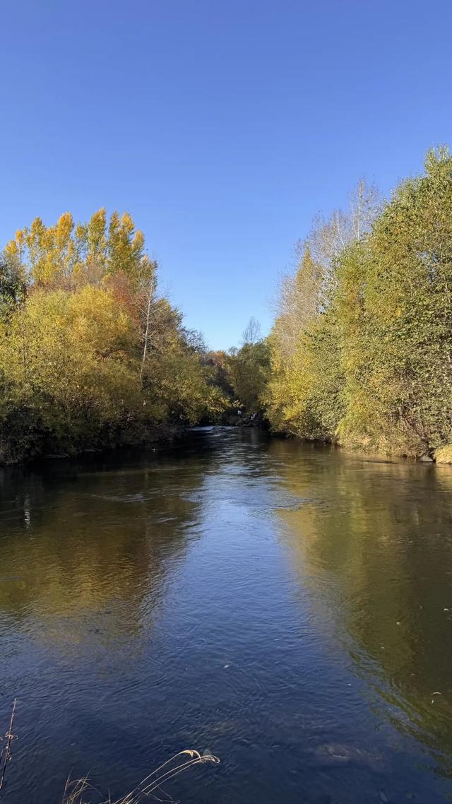 假期闲记（二）