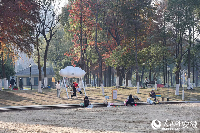 大阳垾公园：鸠江“绿肺”焕新颜