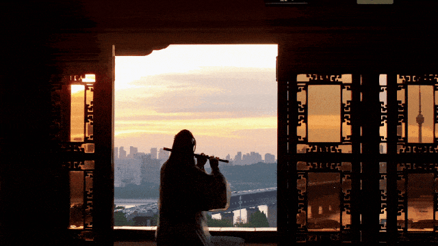 跨年别宅家！武汉公园元旦3天玩法全攻略来了