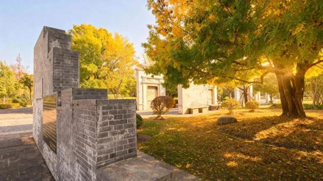 落叶、麦田、银杏……快来收藏这份秋日漫步地图