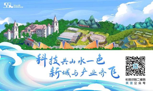 乐动松湖｜飞“岩”走壁有多飒？松山湖成湾区攀友们的“宝藏据点”