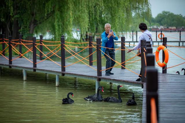 速冲，仅需1张年卡畅游台儿庄，解锁十大权益