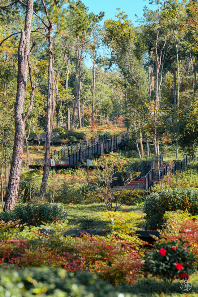 漫步彩虹、栈道追风，东湖徒步新线路美翻了！