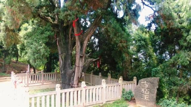 青睐绵阳 ‖ 秋假“趣”哪玩？梓潼已为您备好4条宝藏线路等您打卡～