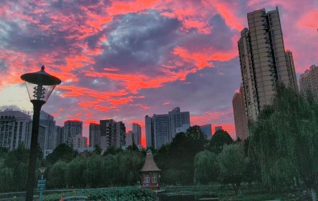 洪山大学之城：晚秋绘彩图，来一场邂逅半红半黄的浪漫之约