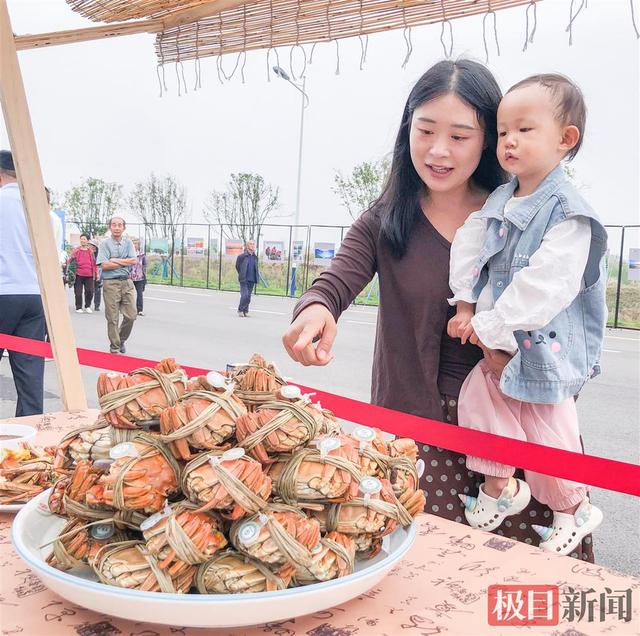 湖北一地“蟹王”“蟹后”拍出1.9万