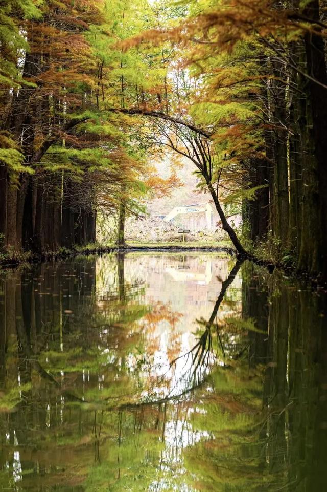 立冬第一游去哪里？淮安5处目的地，这个时节美翻了！