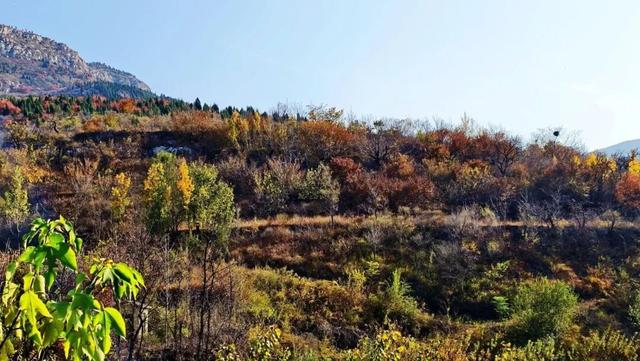 9.9元！深秋里寻一处静谧！本周六出发，打卡长清王泉摩崖石窟、义静寺！