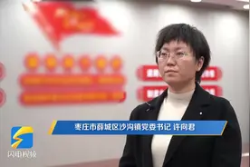 枣庄市薛城区沙沟镇党委书记许向君：打好“六大攻坚战” 开创经济发展新局面图片