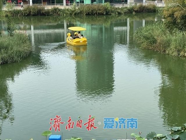 一年四季 泉在济南丨乘船赏景如入画 惬意度秋正当时
