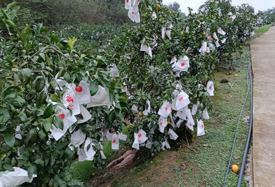 永川“留娃”去处上新→