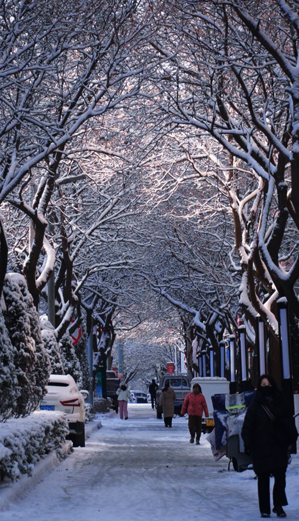 我在临洮，等这一场初冬的雪~