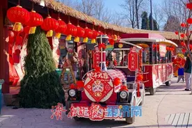 开年第一站，一起zoowalk！济南野生动物世界大年初一开门红图片