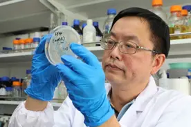 诞生全球首个人工合成蛋白质的上海发力了：“造物”领域，不想起大早赶晚集图片