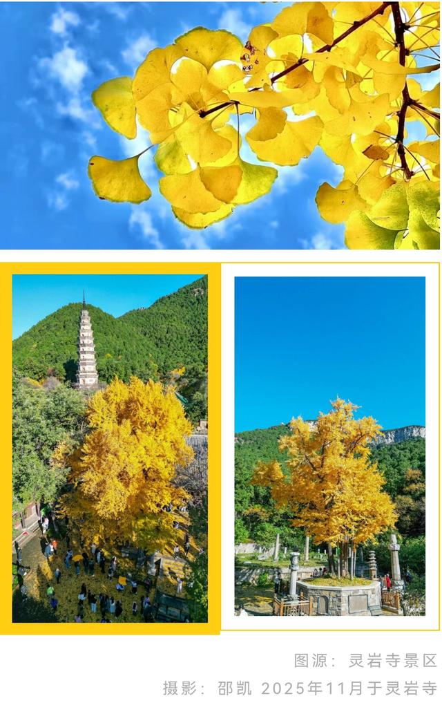 济南的秋天，大电影质感！