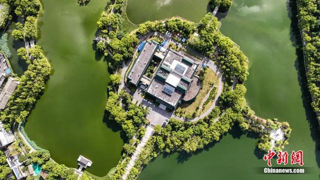 中国新闻社 | 人这一辈子，一定要去一趟荆州品千年楚韵