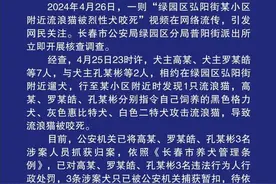 3人驱使烈性犬咬死流浪猫，警方通报图片