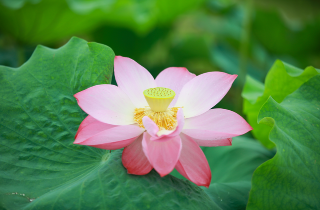 来六合，过个惬意的夏天！