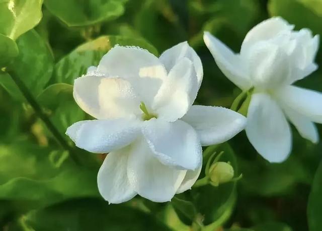 冬日暖游南宁环大明山寻味之旅，暖意美食与奇景相伴！