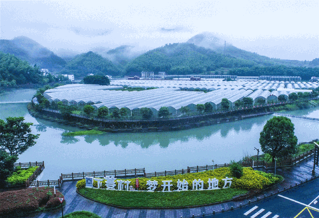 “工位主理人”的诗和远方丨走！浙江22条人文乡村旅游线，第一个就心动