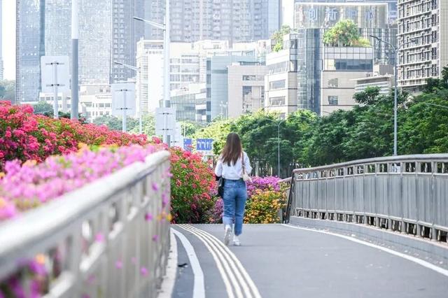 深圳知名景区紧急通知！