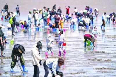 遏制“打野”乱象，筑牢生态防线