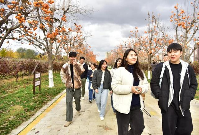 韩国旅行商考察团盛赞黄渤海新区： 山海之间的诗意邂逅