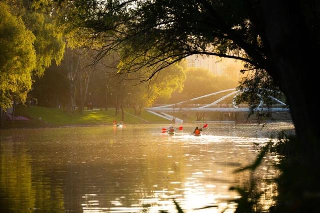 坝河，用金奖回答城市与自然——