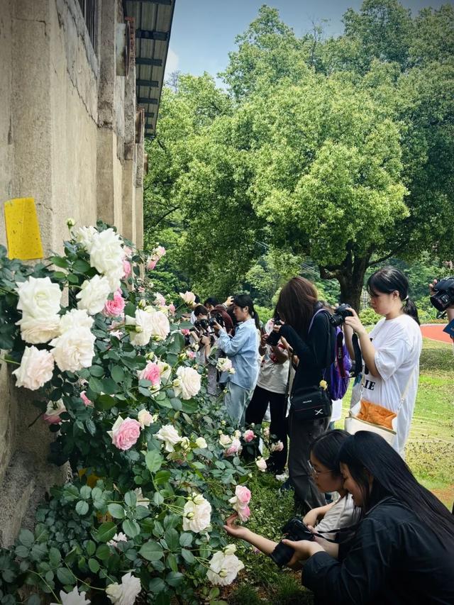 要开学啦！这些三明高校隐藏美景，还不来吗？