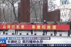 喜羊羊、猪猪侠、百变校巴……粤产“动漫天团”精彩亮相中国版博会图片