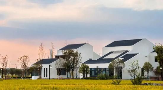 人在画中游！来上海郊野，骑进自然乡野秋韵里