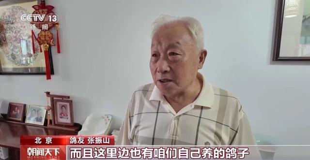 8万只和平鸽都已回家，鸽友40只鸽子参与阅兵：最快20分钟回家，回归率100%