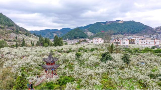 五年揽客超2200万，旅游收入破200亿