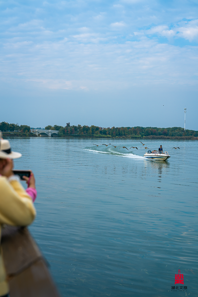 北北亲测！仙桃够味！福利加倍！