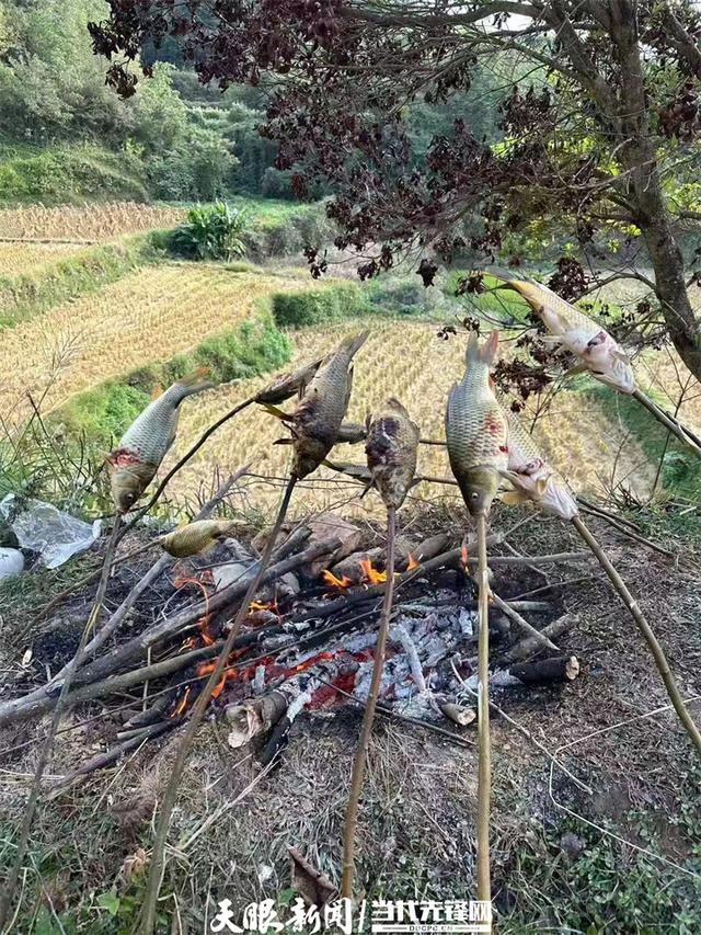 千米高山  黔予乐稻！成都亲子团深入黔东南体验原生态古法农耕