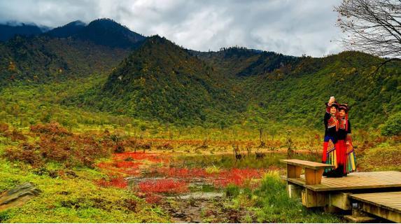 乐山秋日限定最后一波：红叶漫山处，林海踏秋时